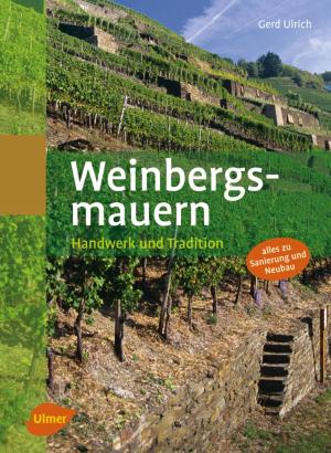 Cover of the book Weinbergsmauern by Rolf Heinzelmann
