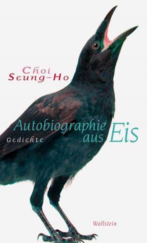 Cover of the book Autobiographie aus Eis by Christine Lavant, Klaus Amann