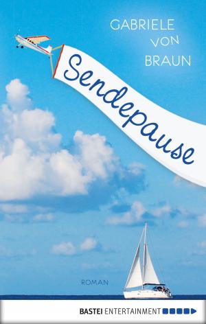 Cover of the book Sendepause by Inka Loreen Minden