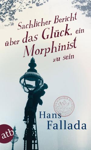 Cover of the book Sachlicher Bericht über das Glück, ein Morphinist zu sein by Melinda Mullet
