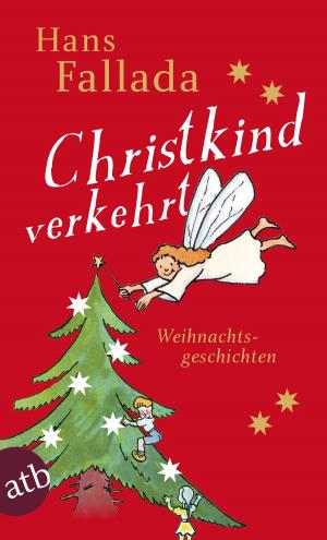 Cover of the book Christkind verkehrt by Eliot Pattison