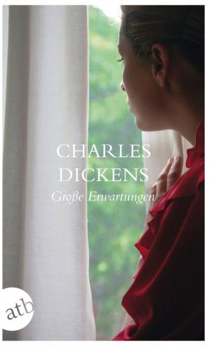 Cover of the book Große Erwartungen by Martina André