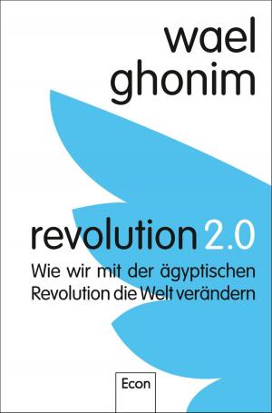 Cover of the book Revolution 2.0 by Francisco Delgado Ruíz