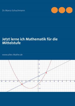 Cover of the book Jetzt lerne ich Mathematik für die Mittelstufe by Winfried Weber
