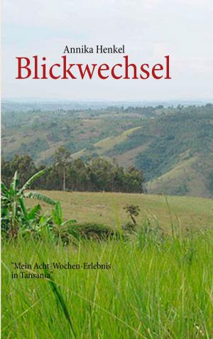 Cover of the book Blickwechsel by Jürgen Lang