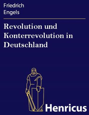 Cover of Revolution und Konterrevolution in Deutschland