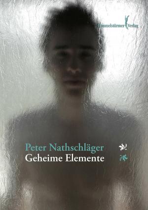 Cover of the book Geheime Elemente by Paul Senftenberg