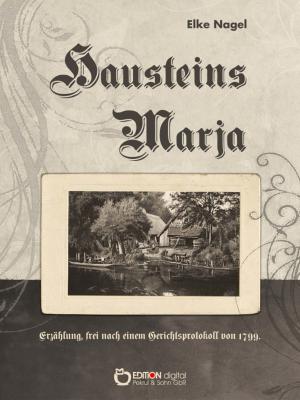 Cover of the book Hausteins Marja by Jürgen Borchert