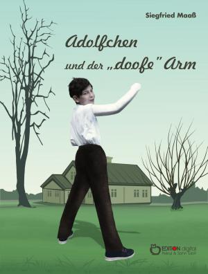 Book cover of Adolfchen und der 'doofe' Arm