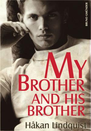 Cover of the book My Brother and his Brother by Tilman Janus