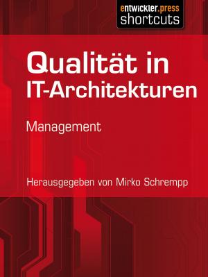 Cover of the book Qualität in IT-Architekturen by Eberhard Wolff, Michael Hunger, Kai Spichale, Lars George