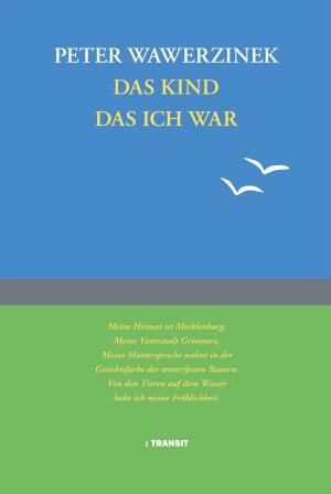 Cover of the book Das Kind das ich war by Claudiu Florian, Gudrun Fröba