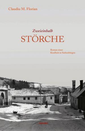Cover of the book Zweieinhalb Störche by Mukoma wa Ngugi, Gudrun Fröba