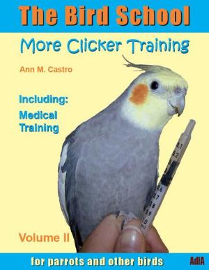 Cover of the book The Bird School. More Clicker Training for Parrots and Other Birds. Including Medical Training by J. Thorn