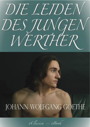 Cover of Die Leiden des jungen Werther