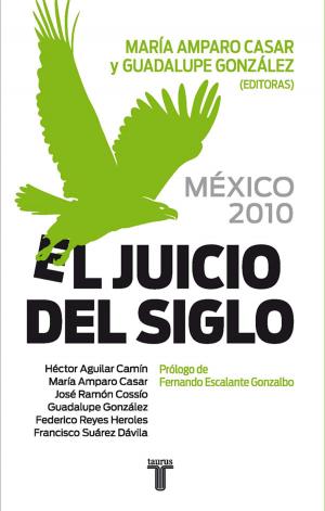 Cover of the book México 2010. El juicio del siglo by Diego Enrique Osorno