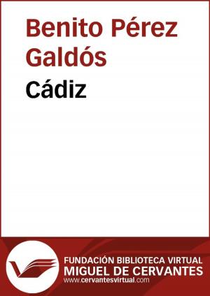 Cover of the book Cádiz by Juan del Valle y Caviedes