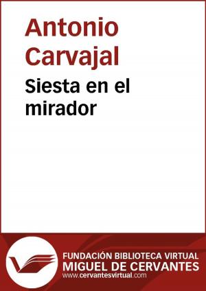 Cover of the book Siesta en el mirador by Concepción Arenal