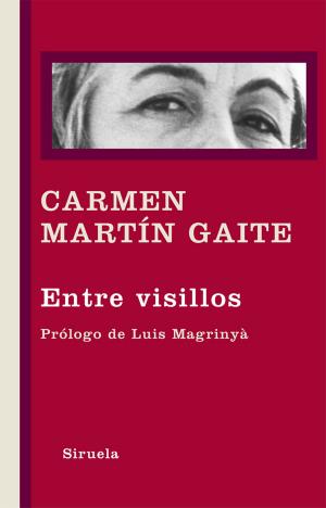 Cover of the book Entre visillos by Italo Calvino
