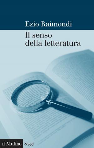 Cover of the book Il senso della letteratura by Giuliano, Amato