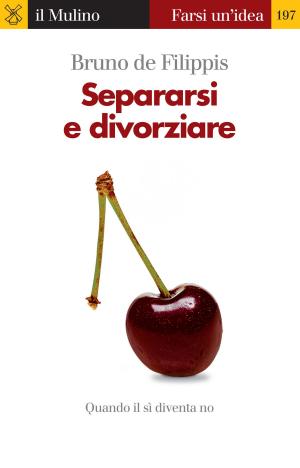 Cover of the book Separarsi e divorziare by Giuliano, Amato