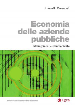 Book cover of Economia delle aziende pubbliche