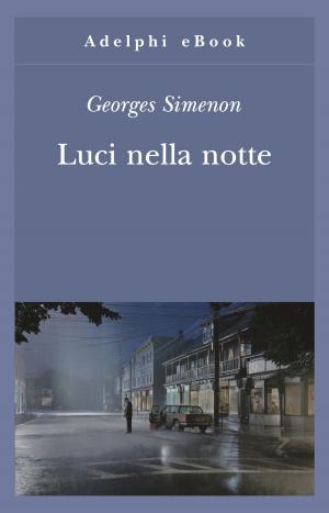 Book cover of Luci nella notte