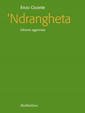Book cover of Ndrangheta