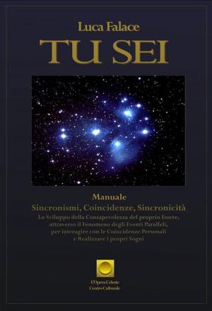 Cover of the book Tu Sei by MARCO GRANATO