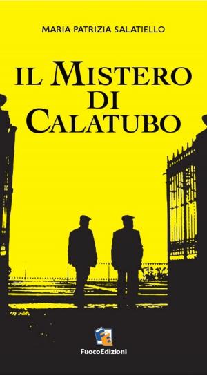 Book cover of Il mistero di Calatubo