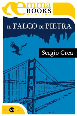 Cover of the book Il falco di pietra (Indagini per due #1) by Silvia Ami