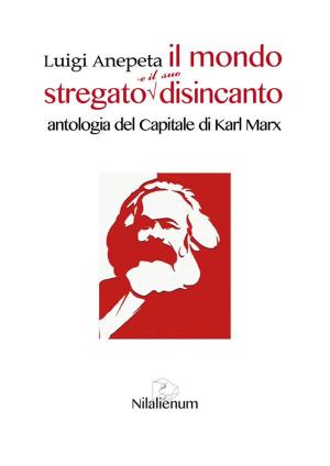 Cover of the book Il mondo stregato e il suo disincanto by Luigi Anepeta, Lisa Cecchi