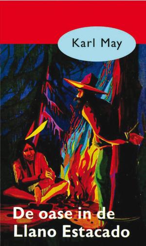 Cover of the book De oase in de Llano Estacado by Santa Montefiore