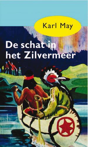 Cover of the book De schat in het Zilvermeer by Nicholas Sparks