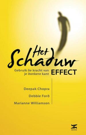 Cover of the book Het schaduw effect by Julia Burgers-Drost