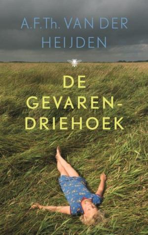Cover of the book De gevarendriehoek by Tijs van den Boomen