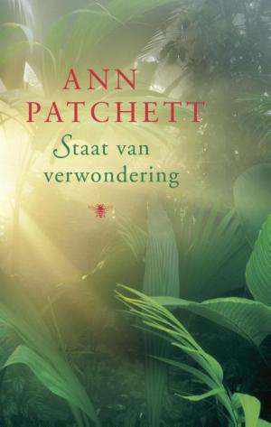 Cover of the book Staat van verwondering by Michael Robotham