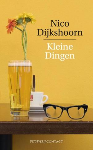 Cover of the book Kleine dingen by Nelleke Noordervliet