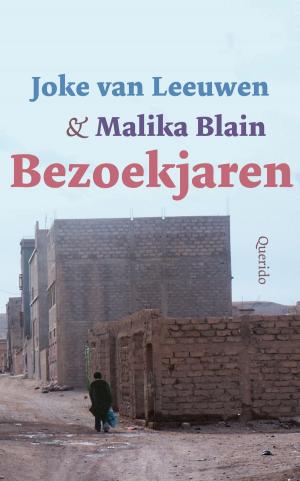 Book cover of Bezoekjaren