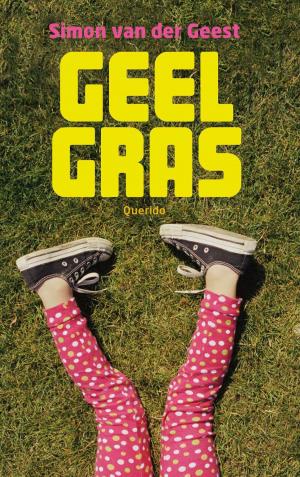 Cover of the book Geel gras by Toon Tellegen