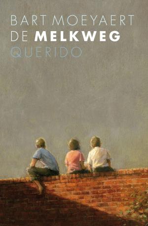 Cover of the book De melkweg by Patrick Modiano