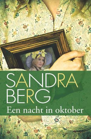 Cover of the book Een nacht in oktober by Amy Pilkington