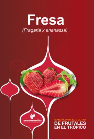Cover of Manual para el cultivo de frutales en el trópico. Fresa