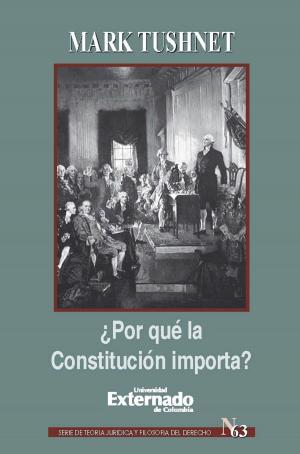 Cover of the book ¿Por qué la Constitución importa? by Günther Jakobs