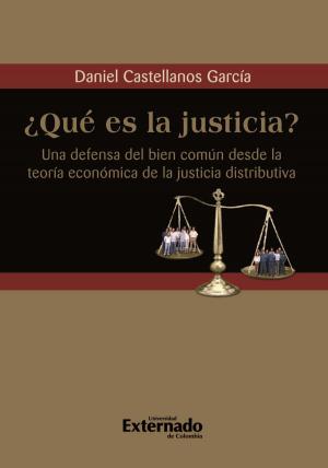 Cover of the book ¿Qué es la justicia? Una defensa del bien común desde la teoría económica de la justicia distributiva by Joel Colón Ríos