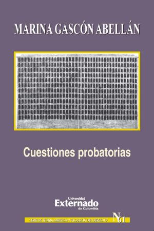 Cover of the book Cuestiones probatorias by Juan Antonio García Amado