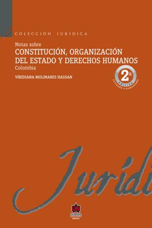Cover of the book Notas sobre constitución, organización del estado y derechos humanos by Sorily Carolina Figuera Vargas