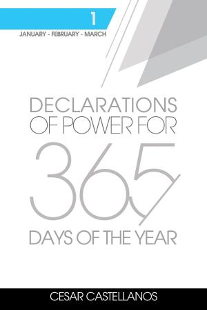 Book cover of Declarations of Power For 365 Days of the Year Volume 1