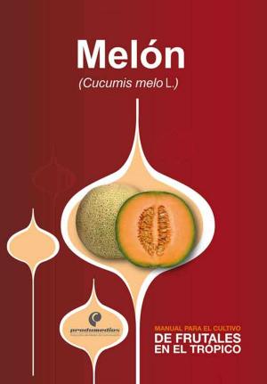 Cover of the book Manual para el cultivo de frutales en el trópico. Melón by Manuel Joaquín Pinto Zapata