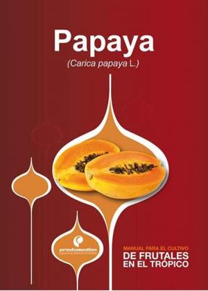 Cover of the book Manual para el cultivo de frutales en el trópico. Papaya by Raúl Saavedra, Herney Darío Vásquez, Eduardo Mejía